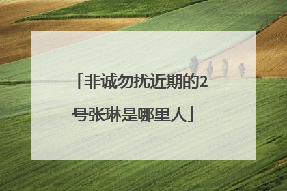 非诚勿扰近期的2号张琳是哪里人