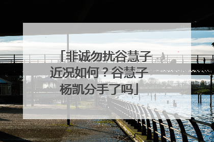 非诚勿扰谷慧子近况如何？谷慧子杨凯分手了吗