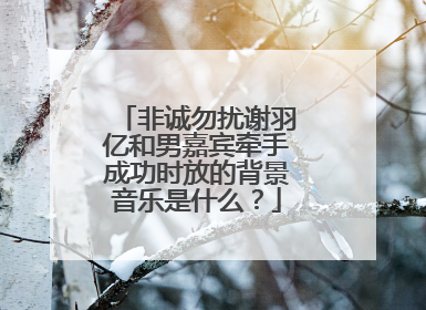 非诚勿扰谢羽亿和男嘉宾牵手成功时放的背景音乐是什么？