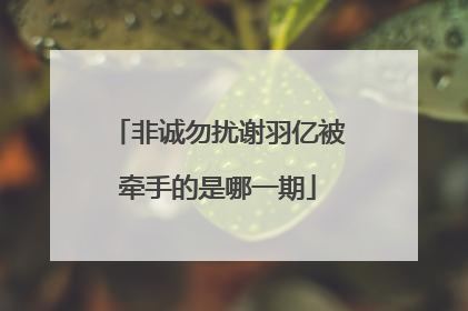 非诚勿扰谢羽亿被牵手的是哪一期