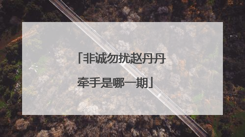 非诚勿扰赵丹丹牵手是哪一期