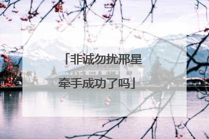 非诚勿扰邢星牵手成功了吗