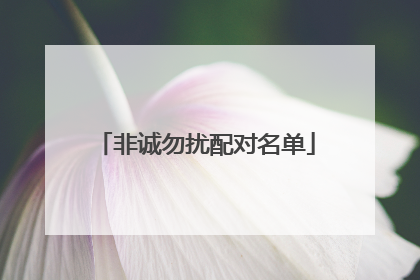 非诚勿扰配对名单