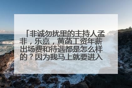 非诚勿扰里的主持人孟非，乐嘉，黄菡工资年薪出场费和待遇都是怎么样的？因为我马上就要进入江苏电视台问