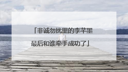 非诚勿扰里的李芊墨最后和谁牵手成功了