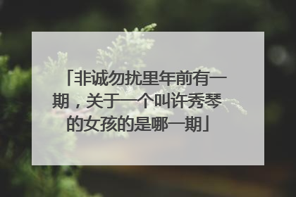 非诚勿扰里年前有一期，关于一个叫许秀琴的女孩的是哪一期