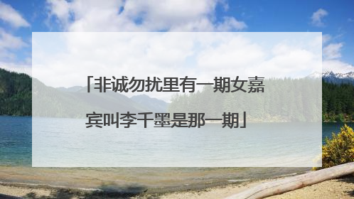 非诚勿扰里有一期女嘉宾叫李千墨是那一期