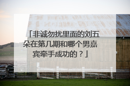 非诚勿扰里面的刘五朵在第几期和哪个男嘉宾牵手成功的?
