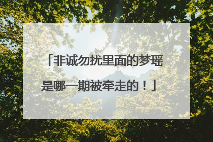 非诚勿扰里面的梦瑶是哪一期被牵走的！