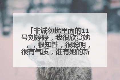 非诚勿扰里面的11号刘婷婷，我很欣赏她，，很知性，很聪明，很有气质，谁有她的新浪的微博么？