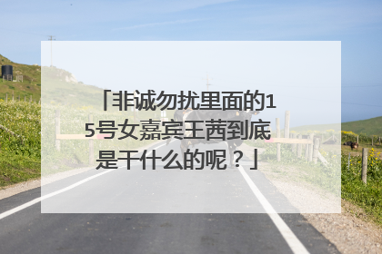 非诚勿扰里面的15号女嘉宾王茜到底是干什么的呢？