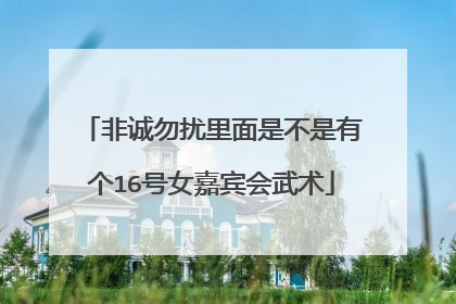 非诚勿扰里面是不是有个16号女嘉宾会武术
