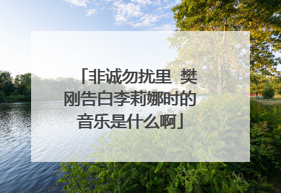 非诚勿扰里 樊刚告白李莉娜时的音乐是什么啊