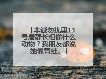 非诚勿扰里13号唐静长相像什么动物？我朋友都说她像青蛙。