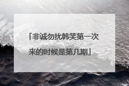 非诚勿扰韩笑第一次来的时候是第几期