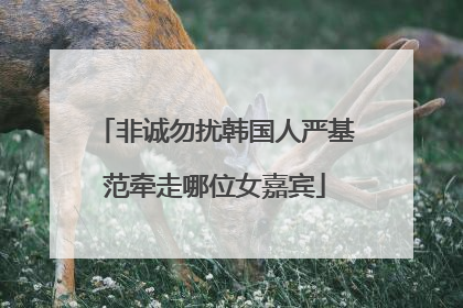 非诚勿扰韩国人严基范牵走哪位女嘉宾