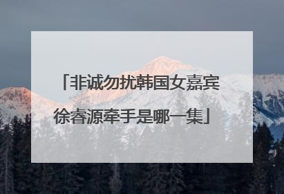 非诚勿扰韩国女嘉宾徐睿源牵手是哪一集