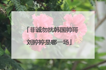 非诚勿扰韩国帅哥刘婷婷是哪一场