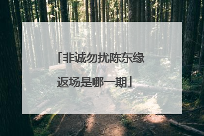 非诚勿扰陈东缘返场是哪一期