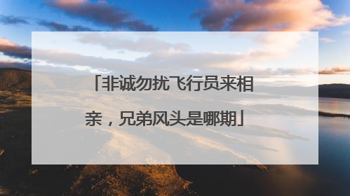 非诚勿扰飞行员来相亲,兄弟风头是哪期