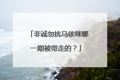 非诚勿扰马依咪哪一期被带走的？