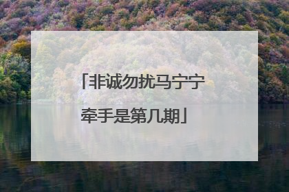 非诚勿扰马宁宁牵手是第几期