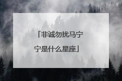 非诚勿扰马宁宁是什么星座