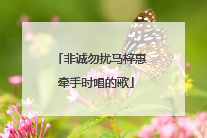 非诚勿扰马梓惠牵手时唱的歌