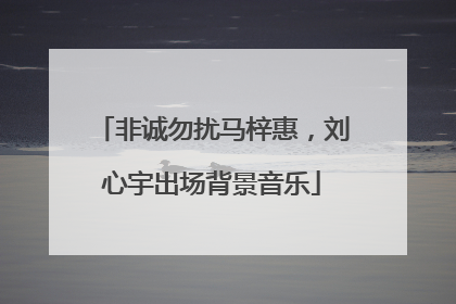 非诚勿扰马梓惠,刘心宇出场背景音乐