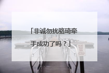 非诚勿扰骆琦牵手成功了吗？