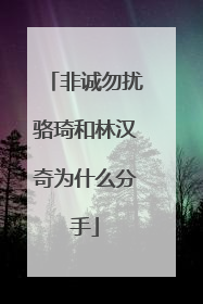 非诚勿扰骆琦和林汉奇为什么分手