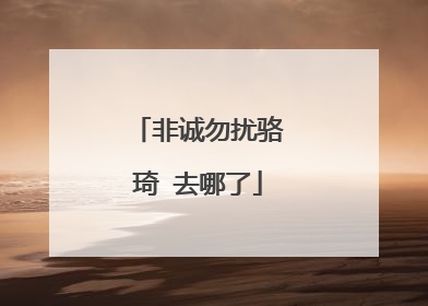 非诚勿扰骆琦 去哪了