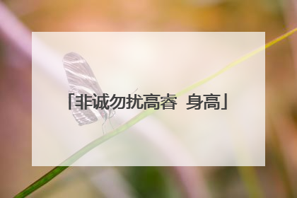 非诚勿扰高睿 身高