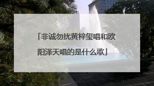 非诚勿扰黄梓玺唱和欧阳泽天唱的是什么歌