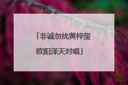 非诚勿扰黄梓玺欧阳泽天对唱