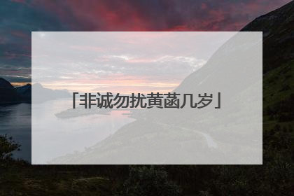 非诚勿扰黄菡几岁