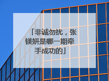 非诚勿扰，张镁妍是哪一期牵手成功的