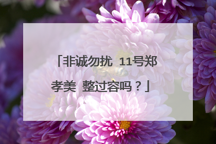 非诚勿扰 11号郑孝美 整过容吗?