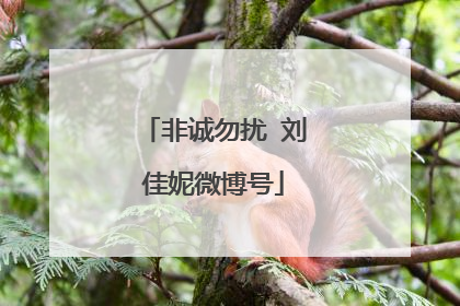 非诚勿扰 刘佳妮微博号