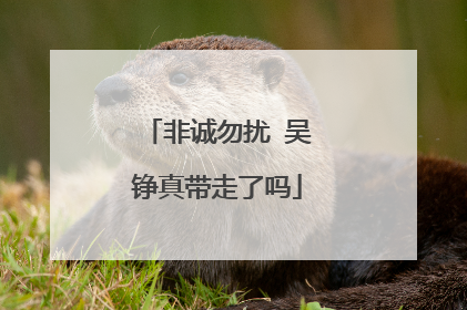 非诚勿扰 吴铮真带走了吗