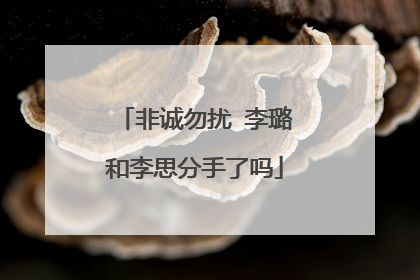 非诚勿扰 李璐和李思分手了吗