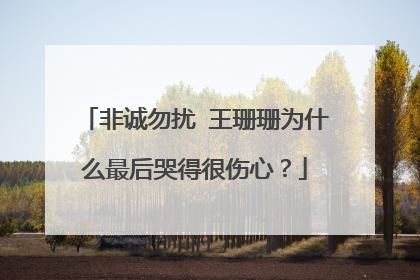 非诚勿扰 王珊珊为什么最后哭得很伤心?