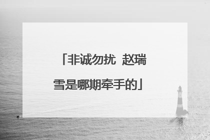 非诚勿扰 赵瑞雪是哪期牵手的