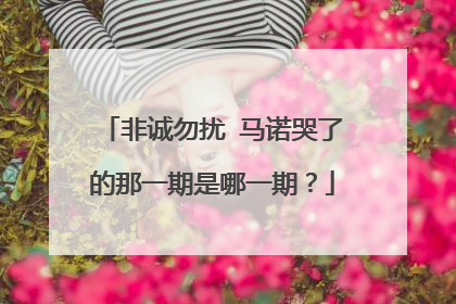 非诚勿扰 马诺哭了的那一期是哪一期?