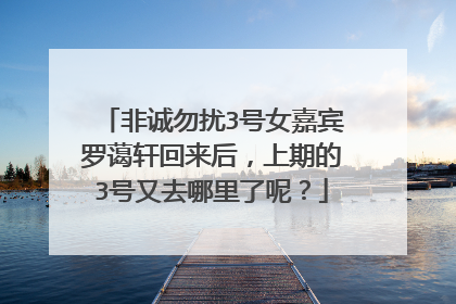 非诚勿扰3号女嘉宾罗蔼轩回来后，上期的3号又去哪里了呢？