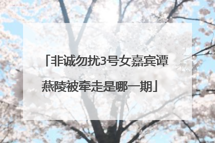 非诚勿扰3号女嘉宾谭燕陵被牵走是哪一期