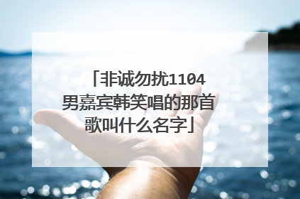 非诚勿扰1104男嘉宾韩笑唱的那首歌叫什么名字