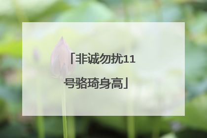 非诚勿扰11号骆琦身高