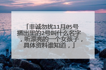 非诚勿扰11月05号播出里的2号叫什么名字，听漂亮的一个女孩子，具体资料谁知道，