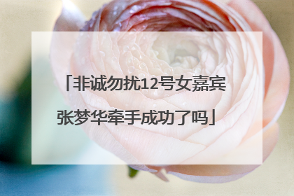 非诚勿扰12号女嘉宾张梦华牵手成功了吗